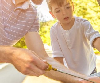 image of Car Care Tips to Beat the Heat this Summer
