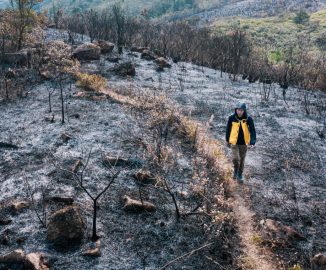 image of How Climate Change Impacts the Insurance Industry