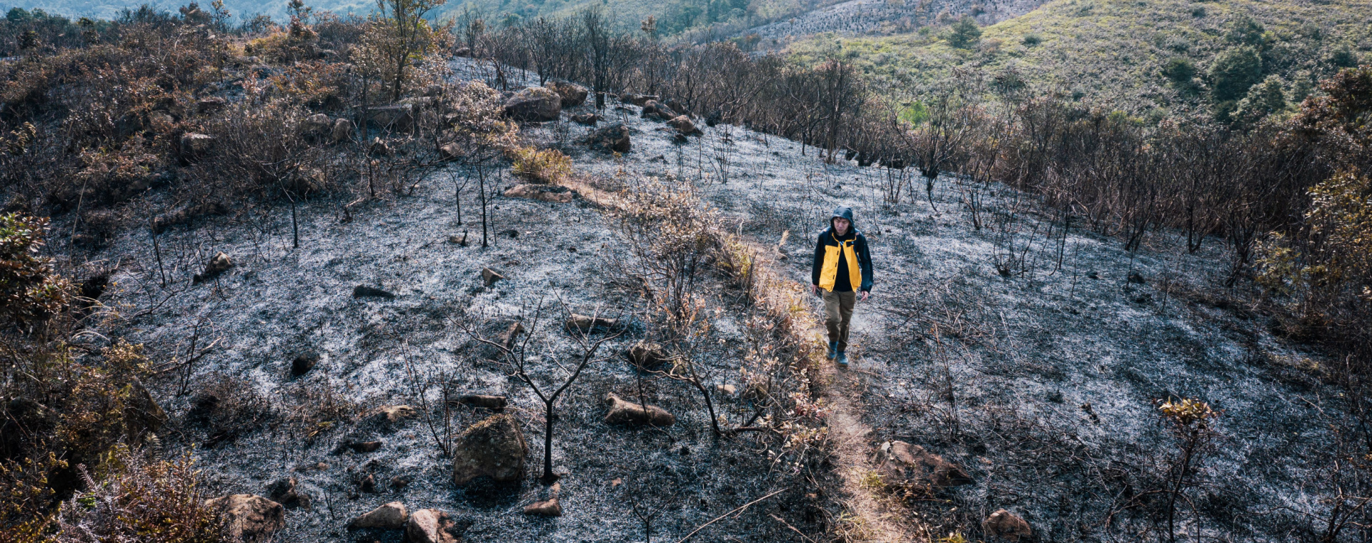 How Climate Change Impacts The Insurance Industry Confie