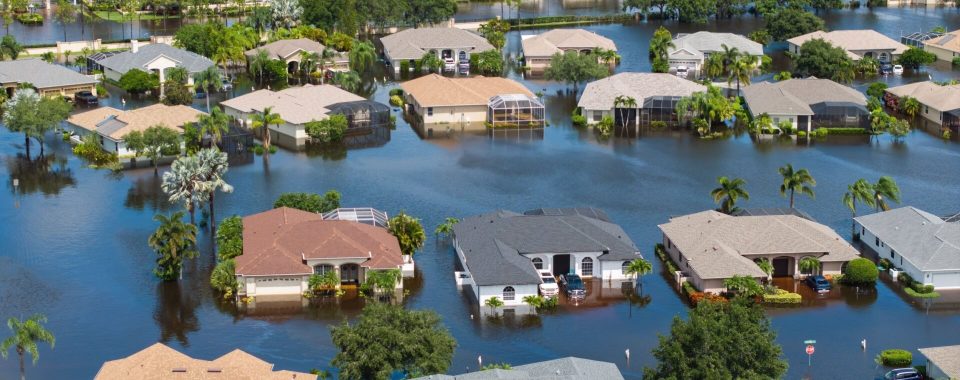 image Why the Future of Insurance Depends on Environmental and Social Responsibility 